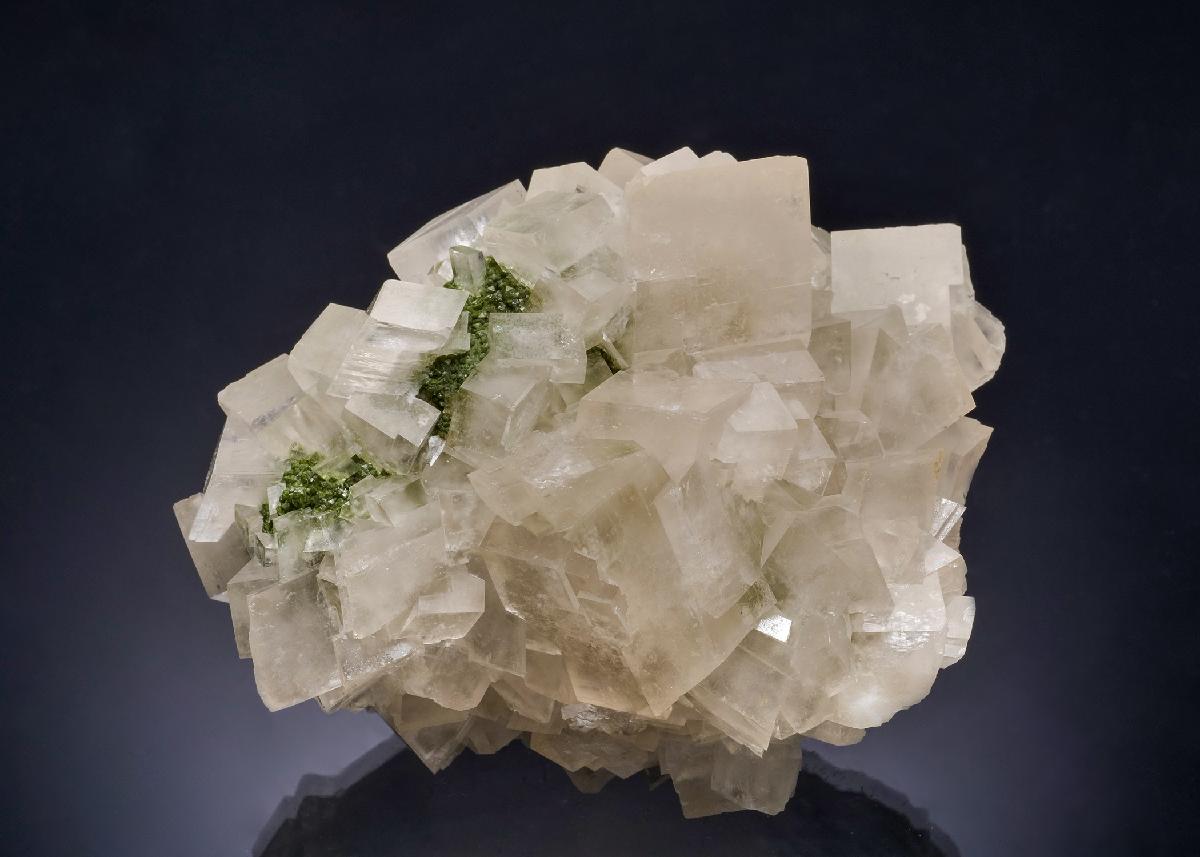 CC54650 specimen image