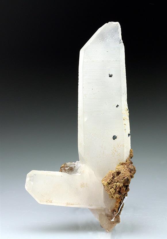 CC5469 specimen image