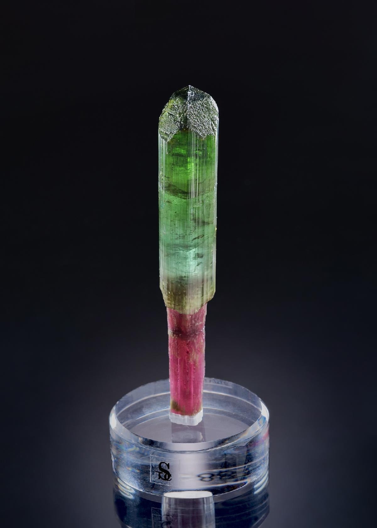 CC54696 specimen image