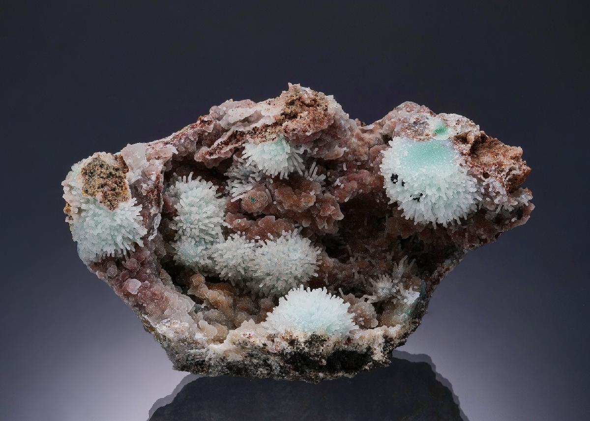 CC54784 specimen image