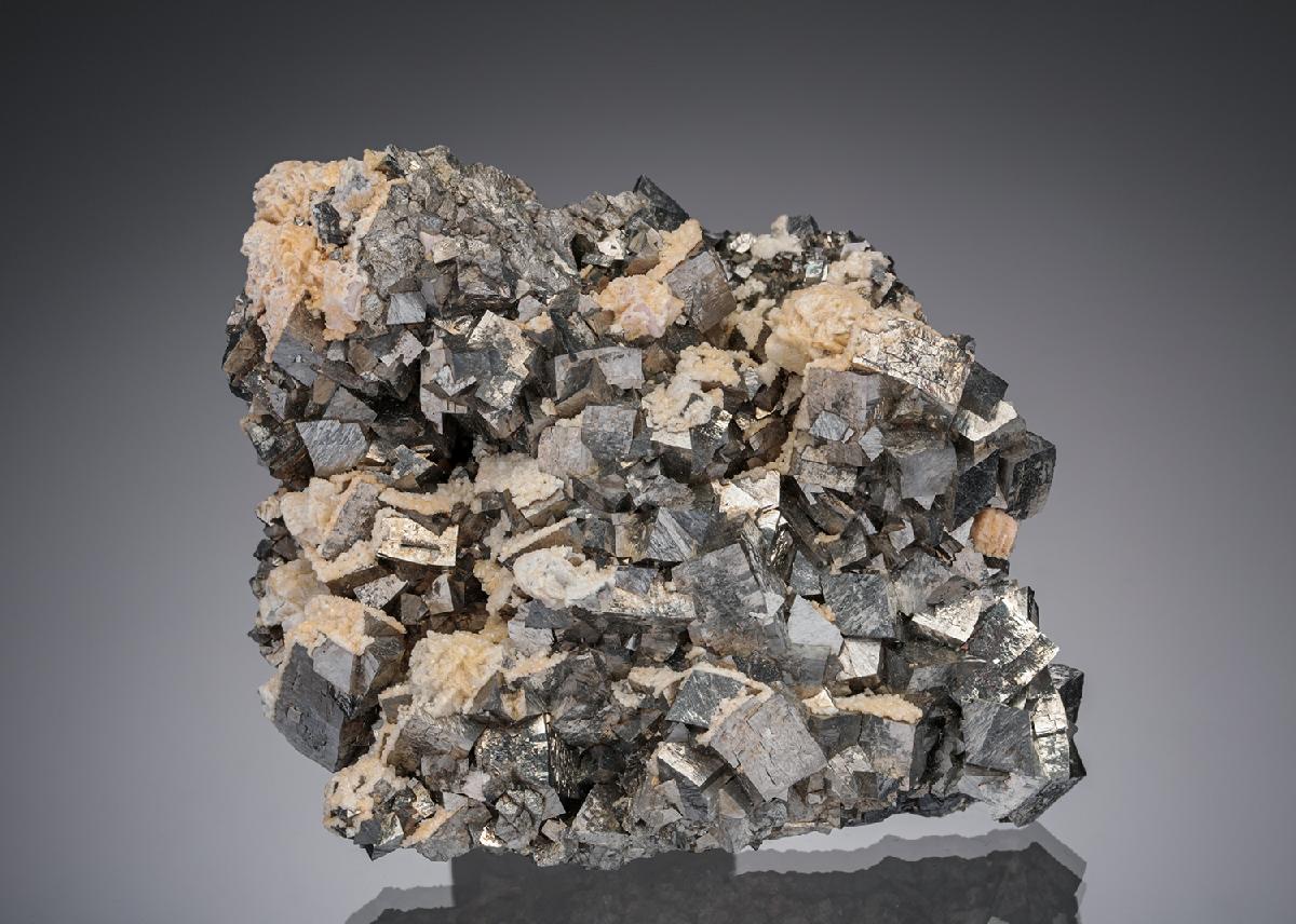 CC5489 specimen image