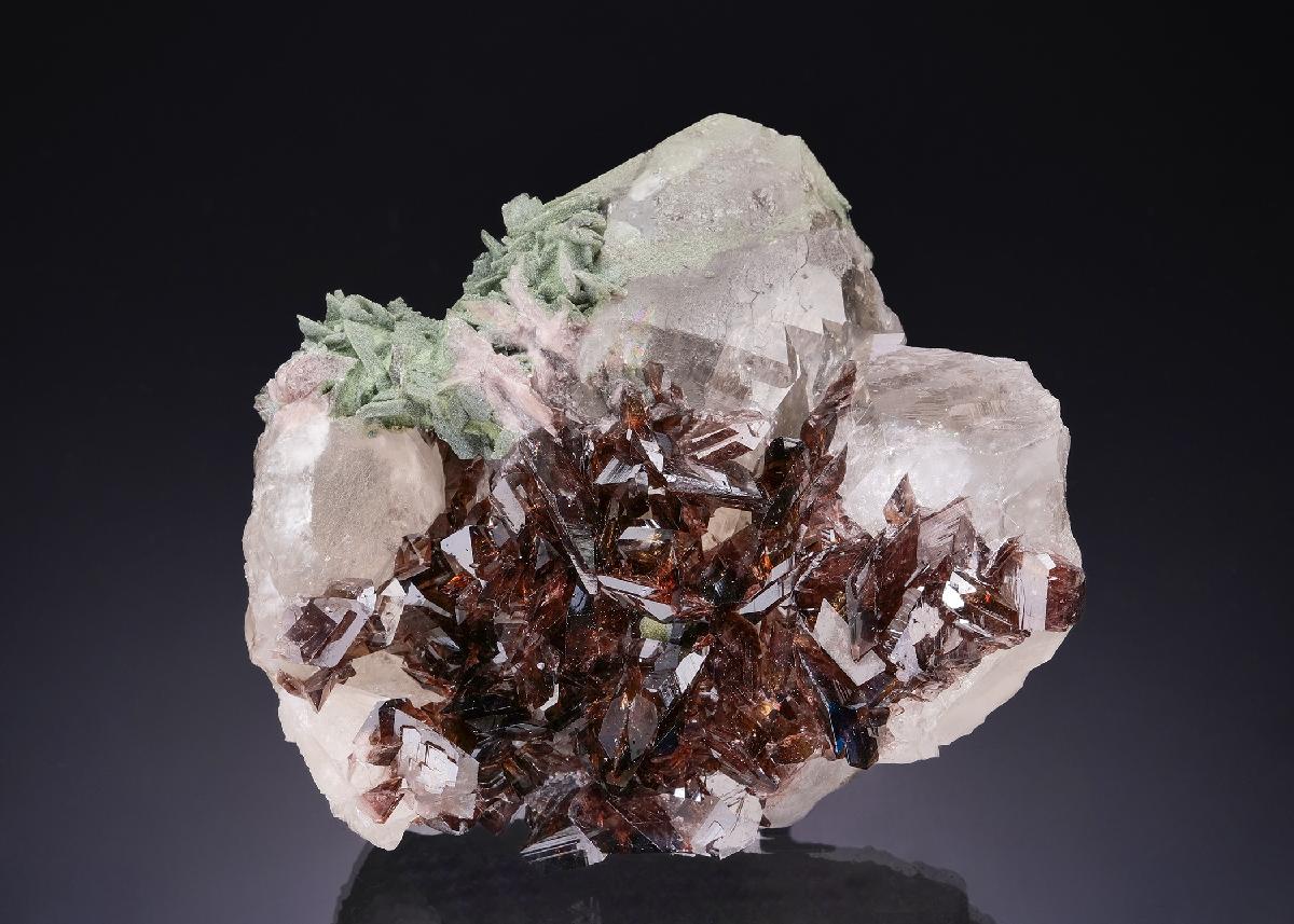 CC55188 specimen image
