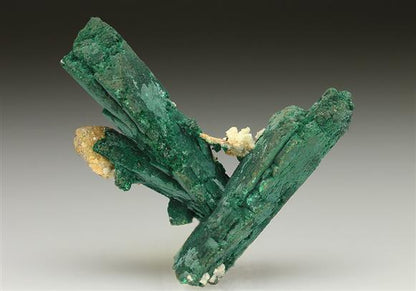 CC5524 specimen image