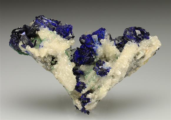 CC5528 specimen image