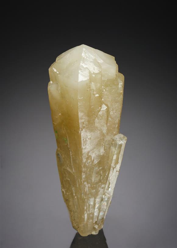 CC5532 specimen image