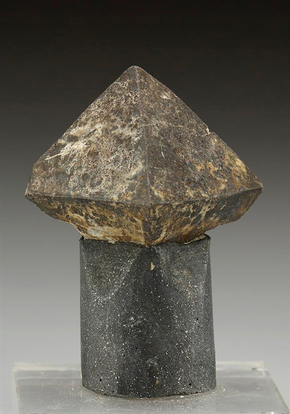 CC5545 specimen image