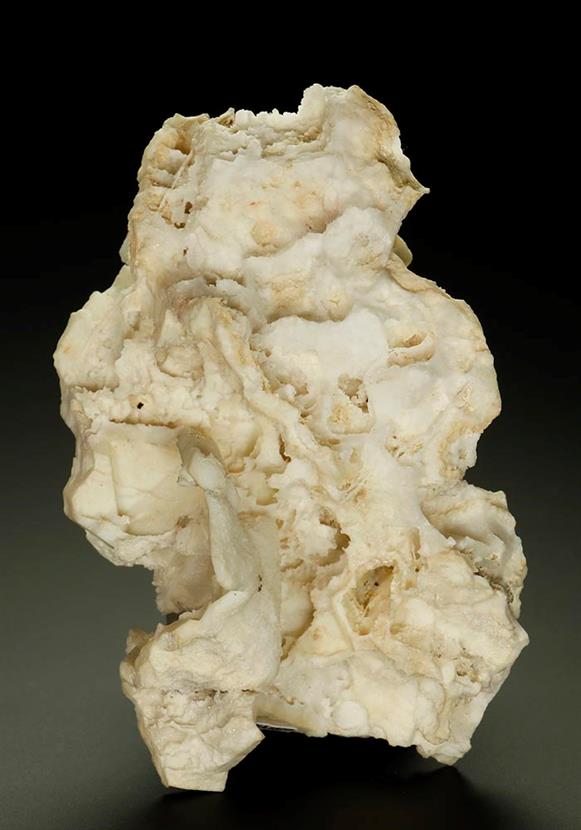 CC5582 specimen image