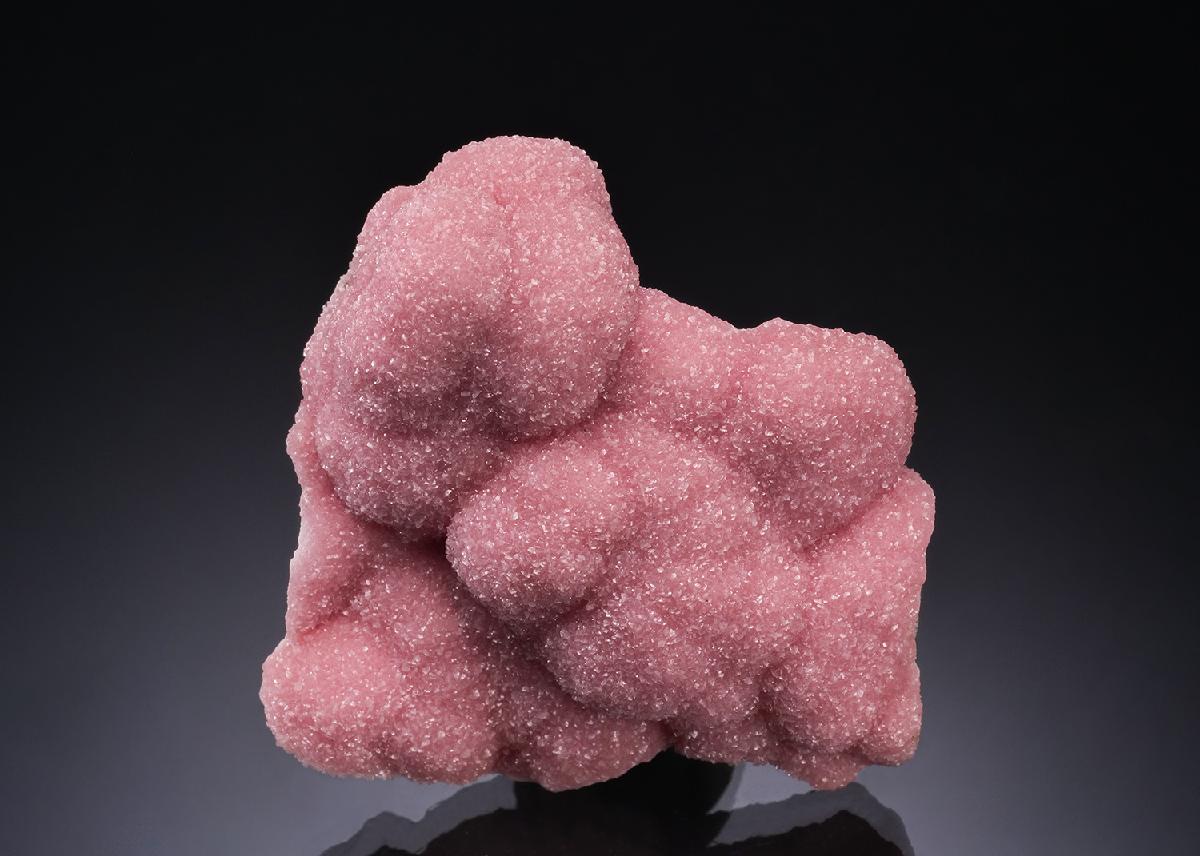 CC55890 specimen image