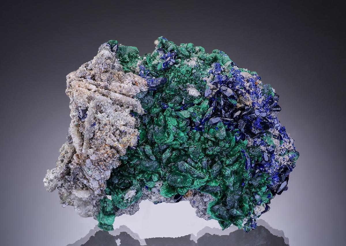 CC55898 specimen image