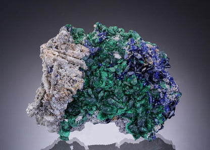 CC55898 specimen image