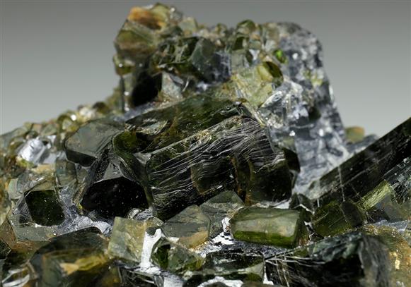 CC5590 specimen image