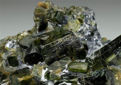 CC5590 specimen image