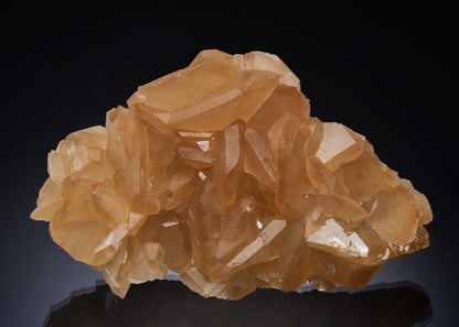 CC55904 specimen image
