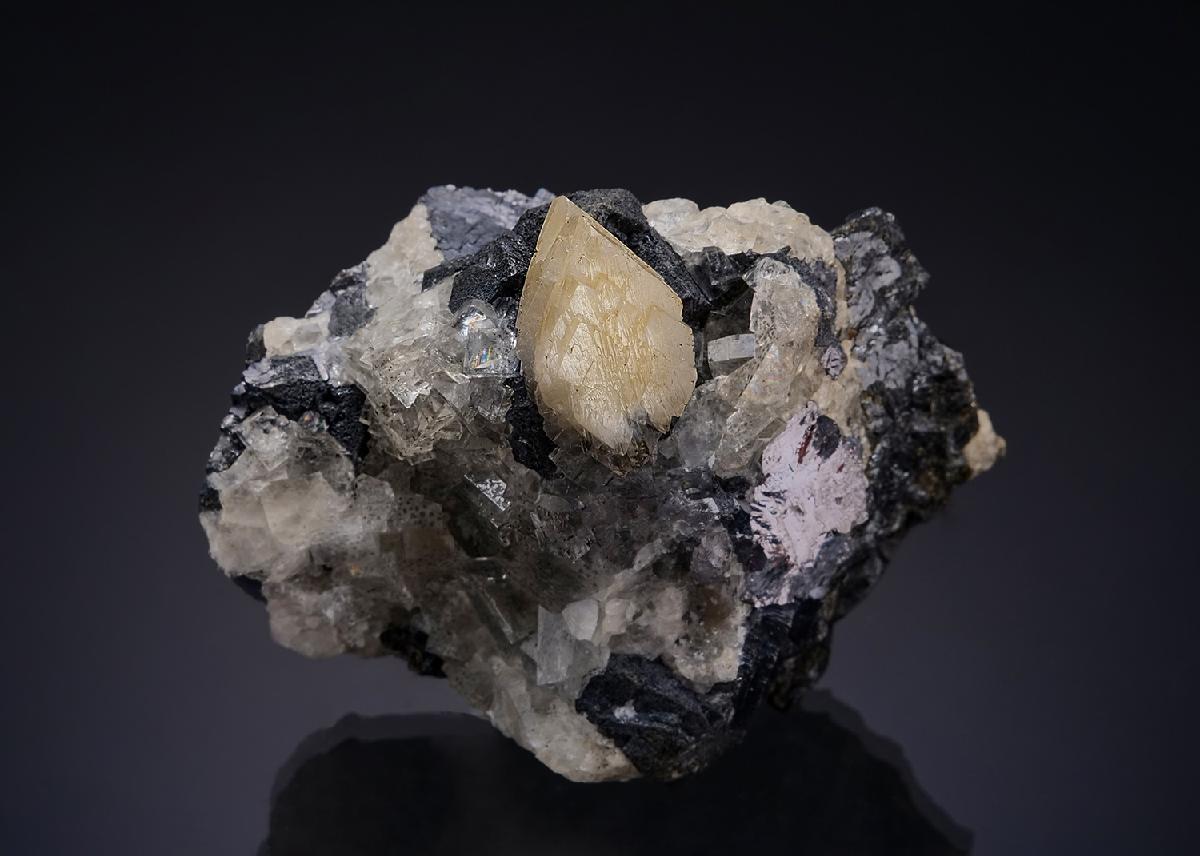 CC55920 specimen image