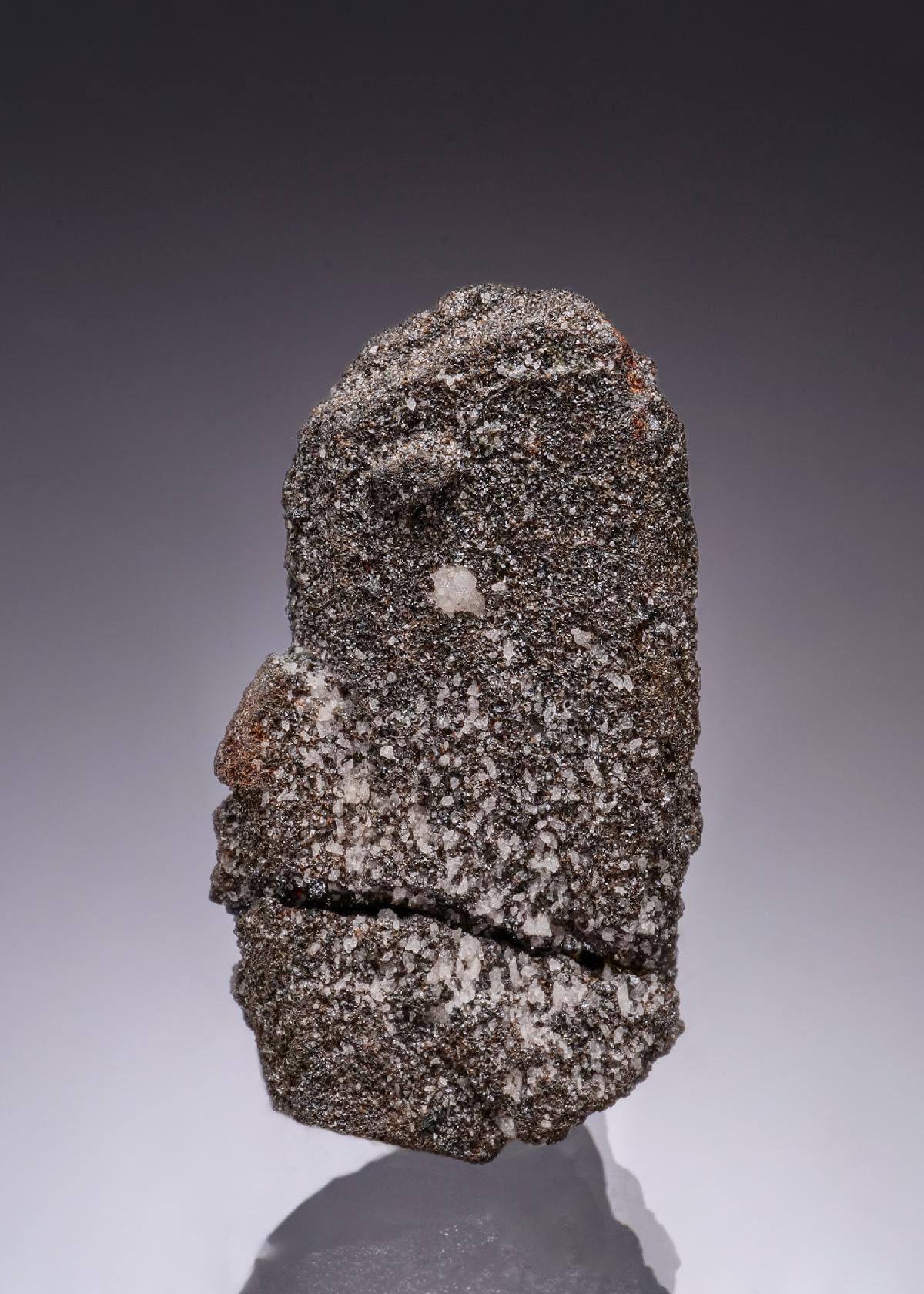 CC55924 specimen image