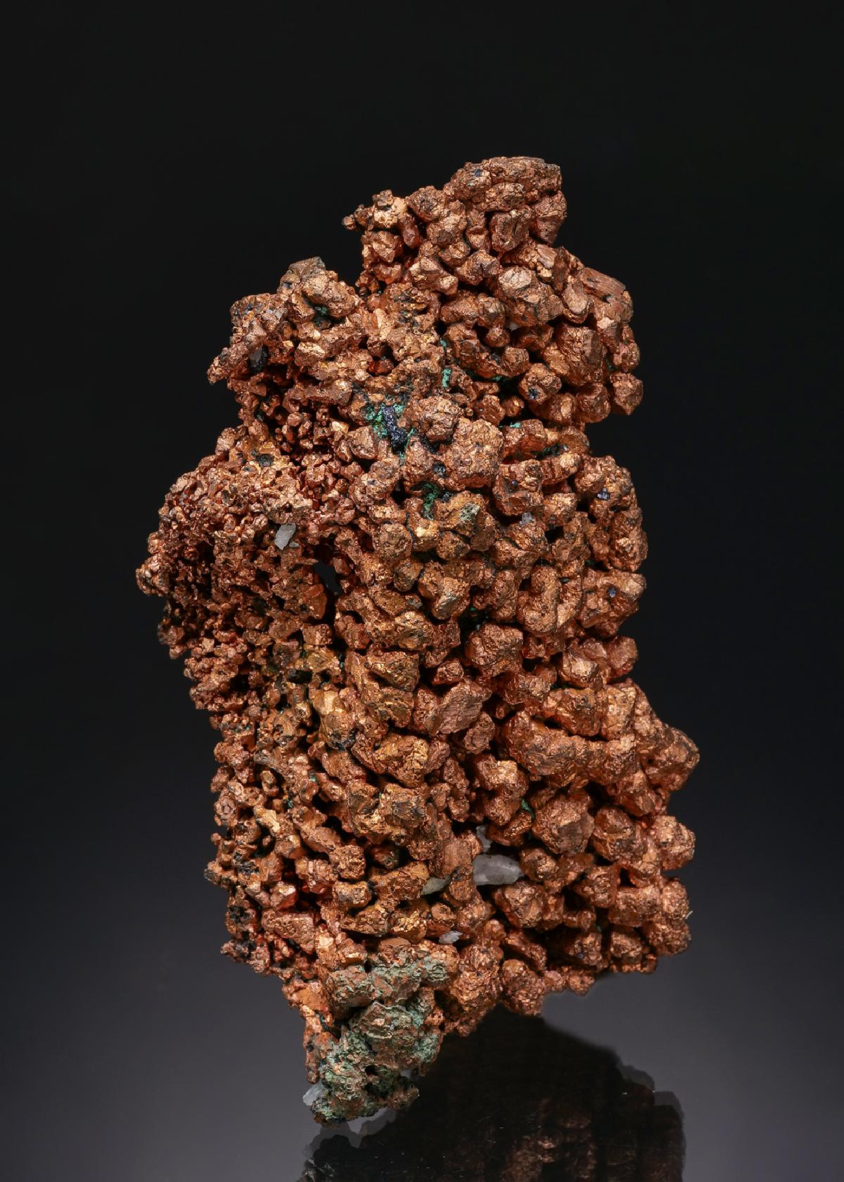 CC55942 specimen image