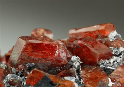 CC5595 specimen image