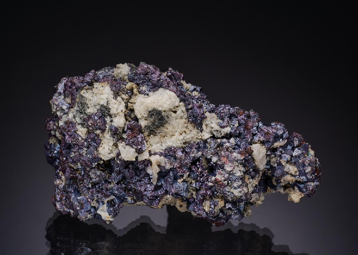 CC55966 specimen image
