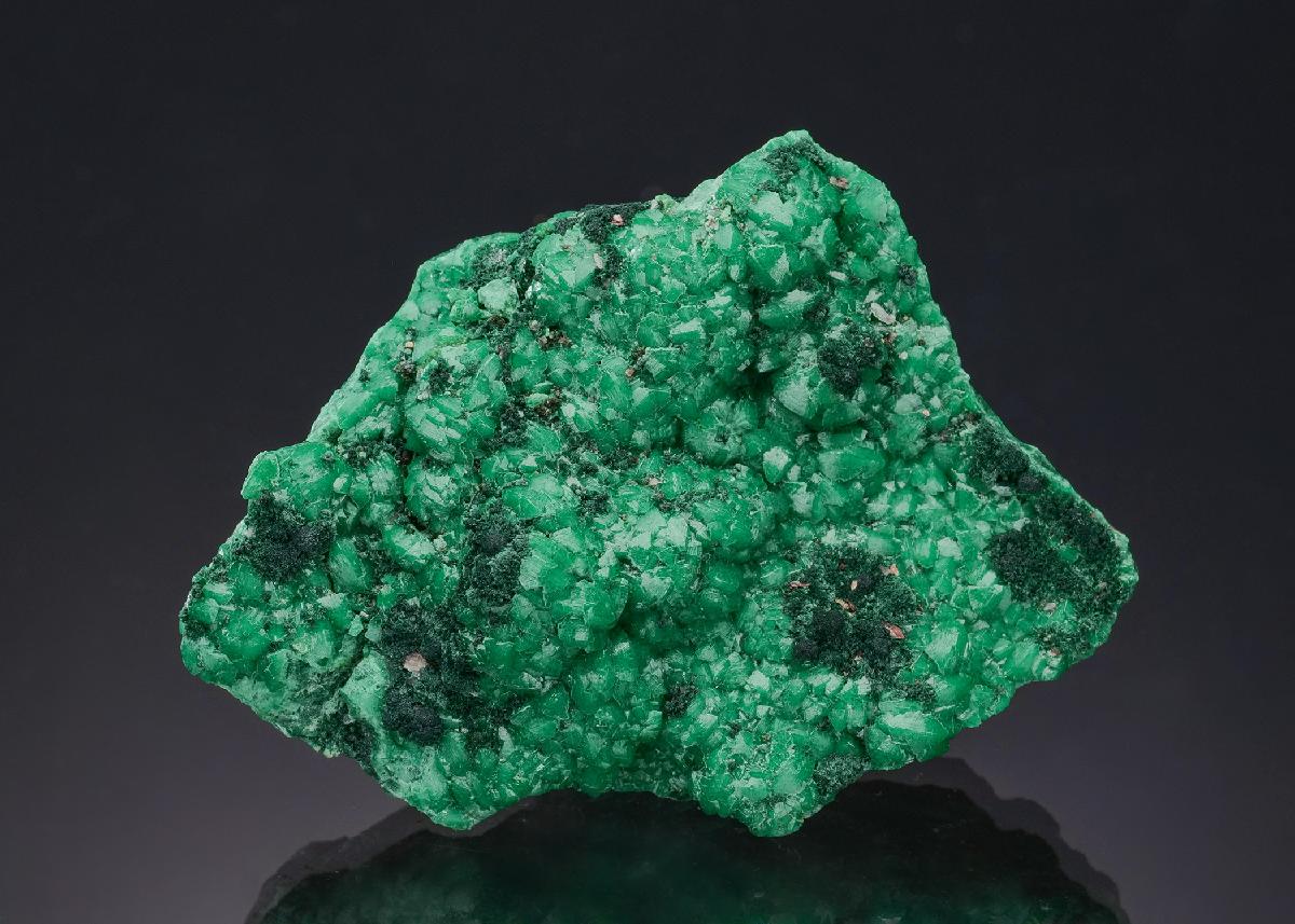 CC55972 specimen image