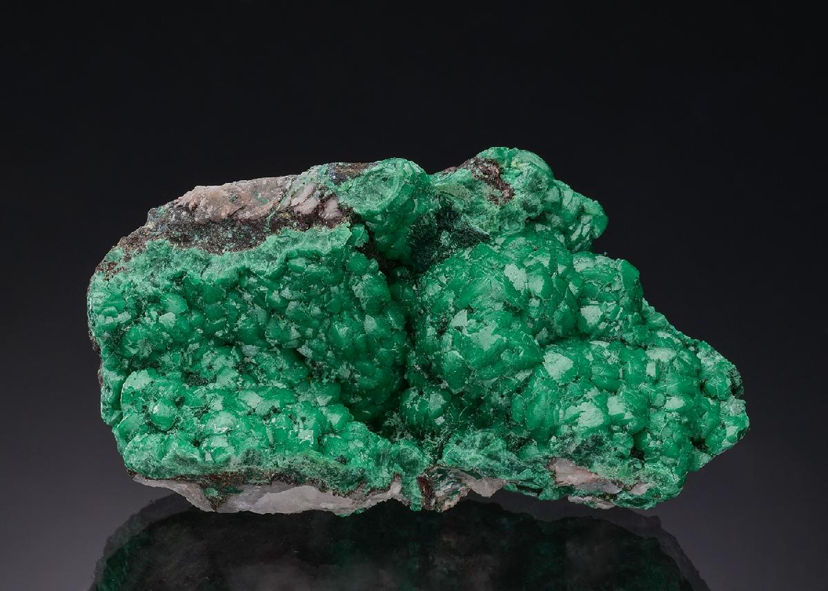 CC55974 specimen image