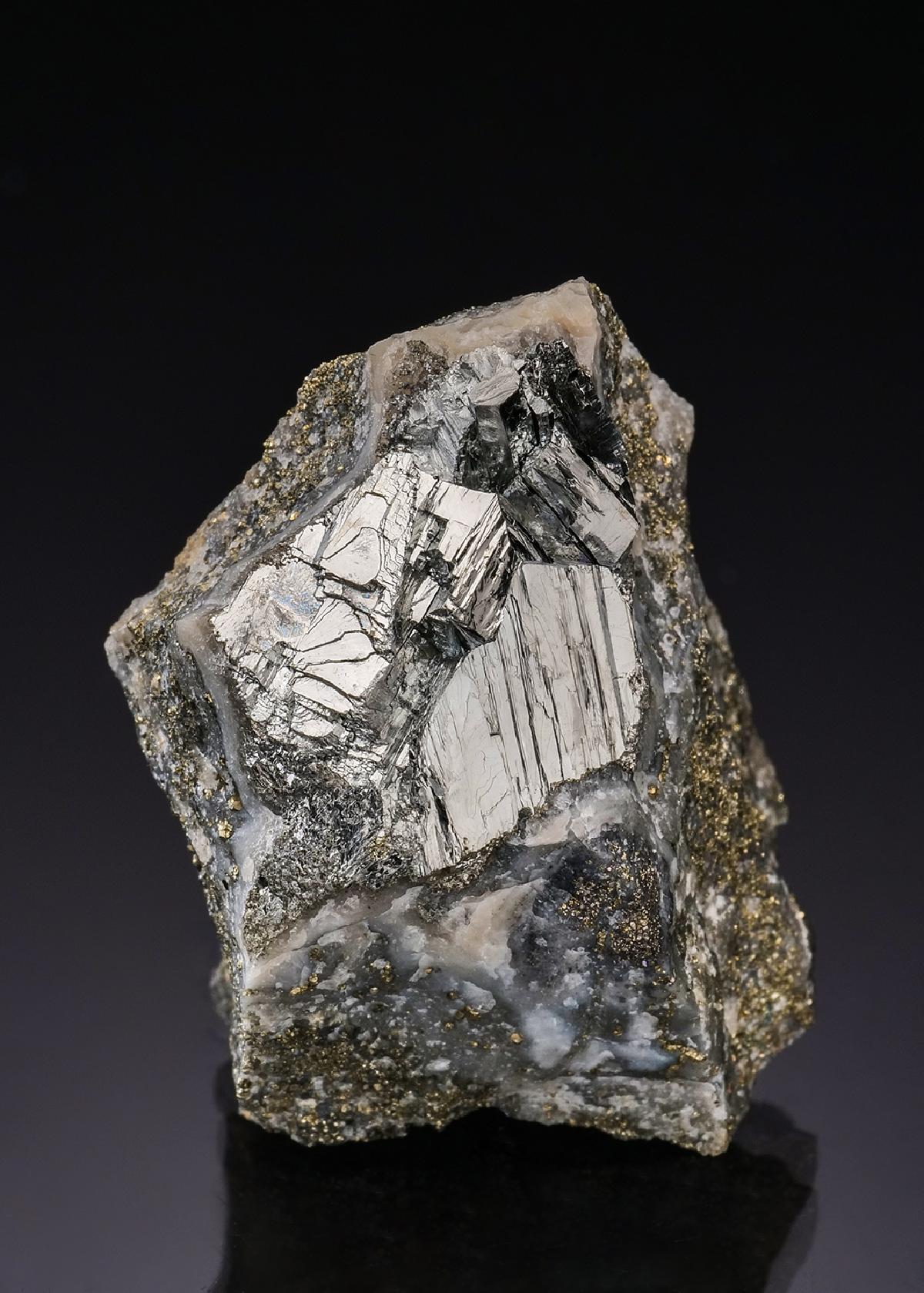 CC55980 specimen image