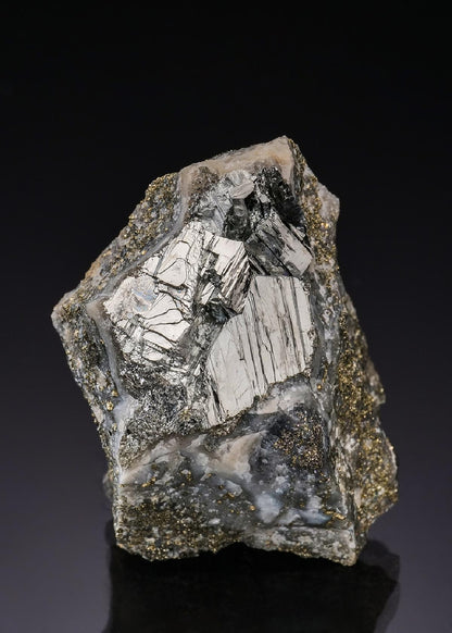 CC55980 specimen image