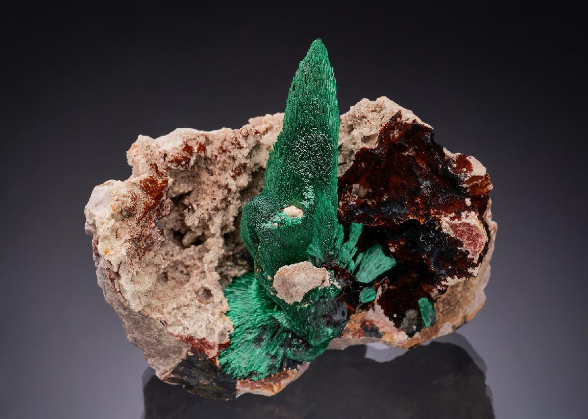 CC55984 specimen image