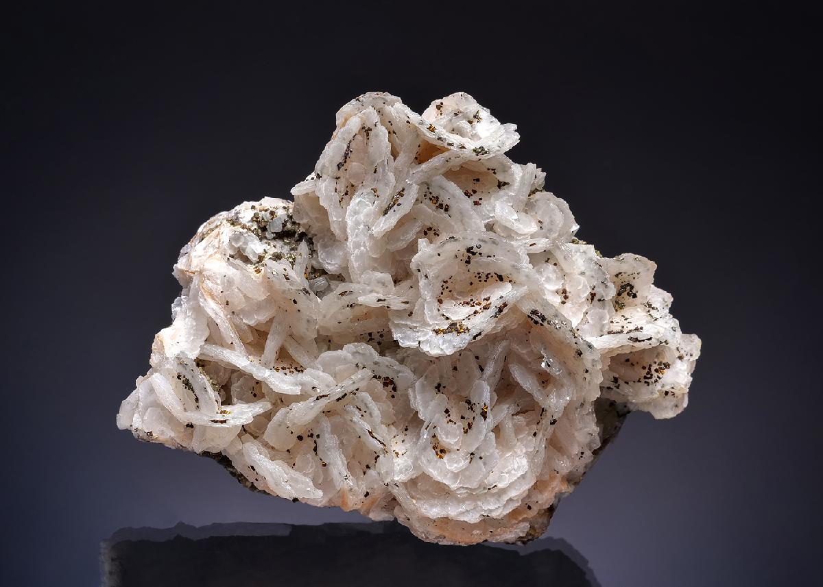 CC56016 specimen image