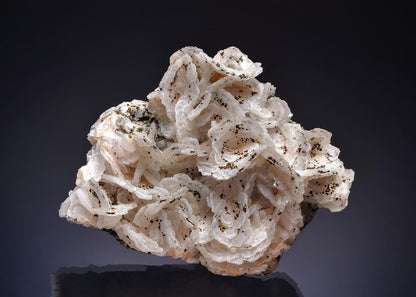CC56016 specimen image