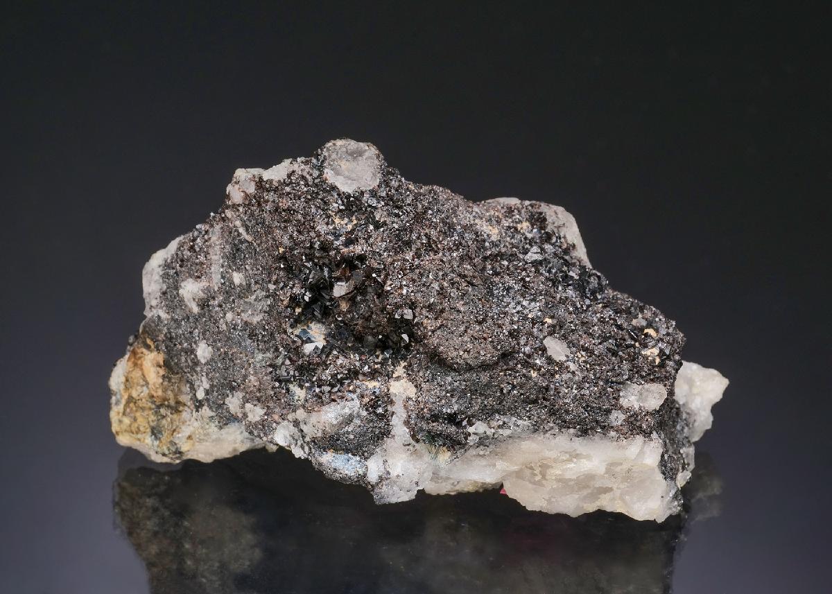 CC56036 specimen image