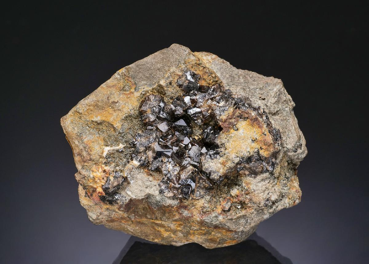 CC56052 specimen image