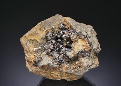 CC56052 specimen image