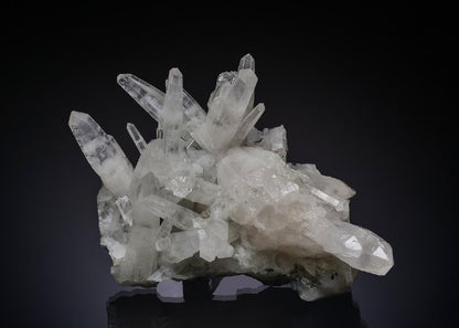CC56054 specimen image