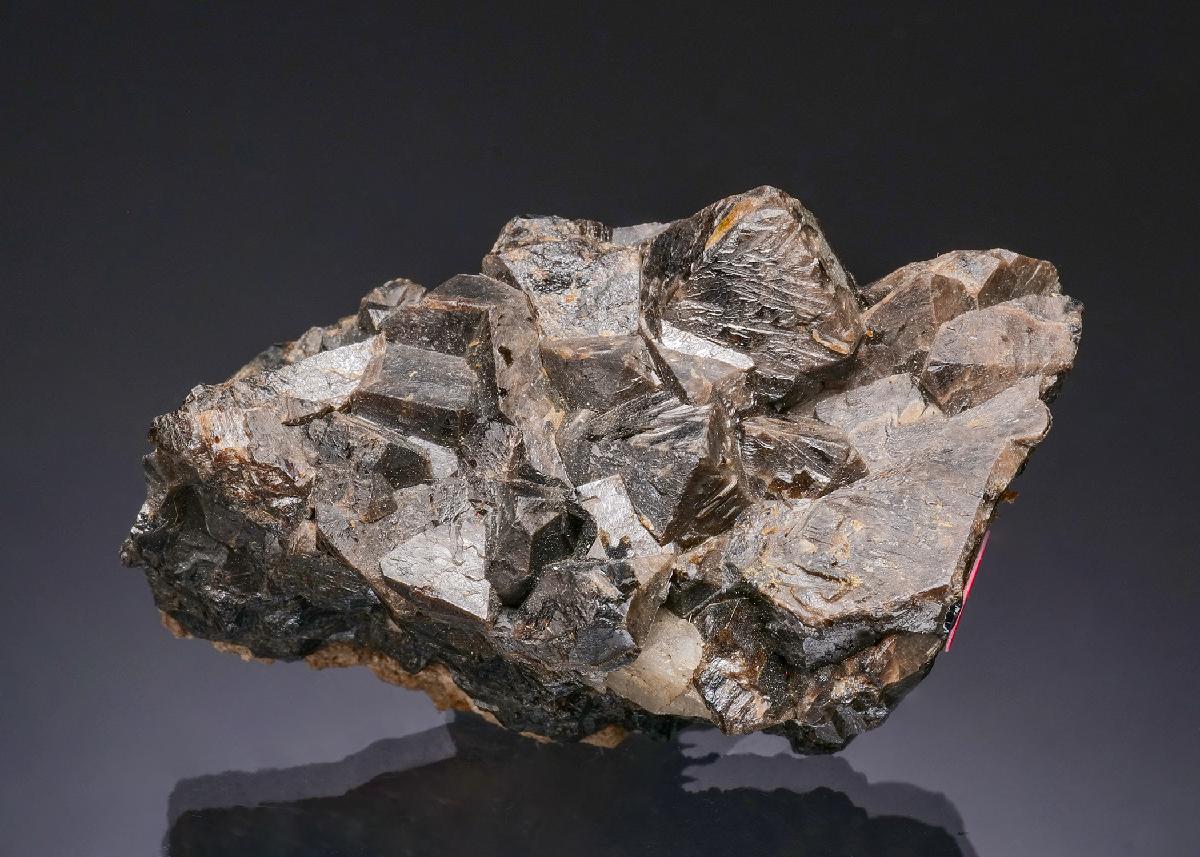 CC56116 specimen image