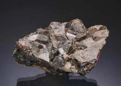 CC56116 specimen image