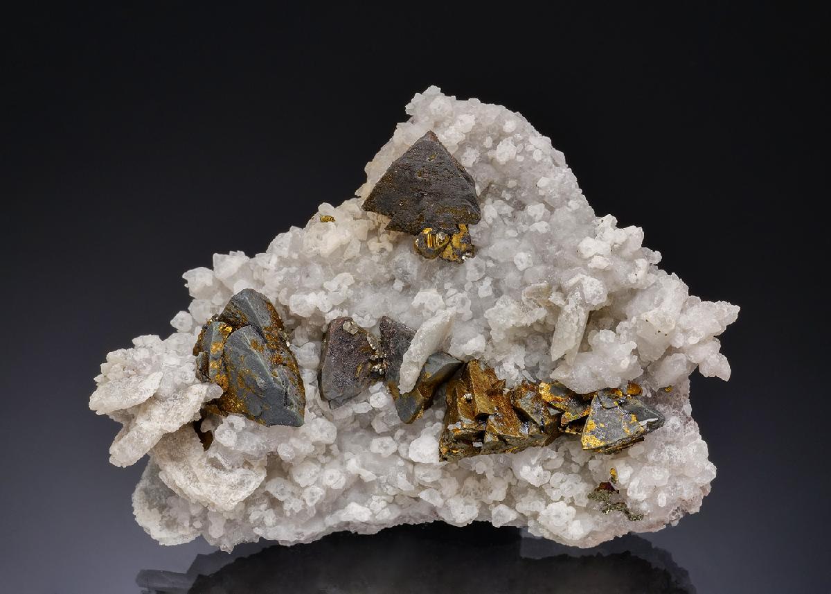 CC56128 specimen image