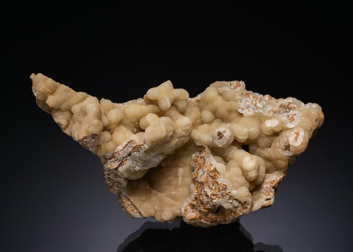 CC56142 specimen image