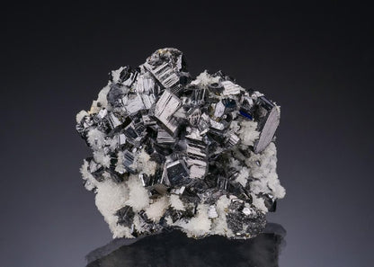 CC56148 specimen image