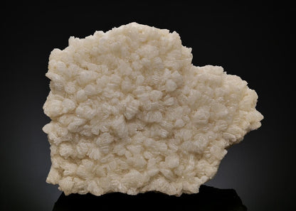 CC56150 specimen image