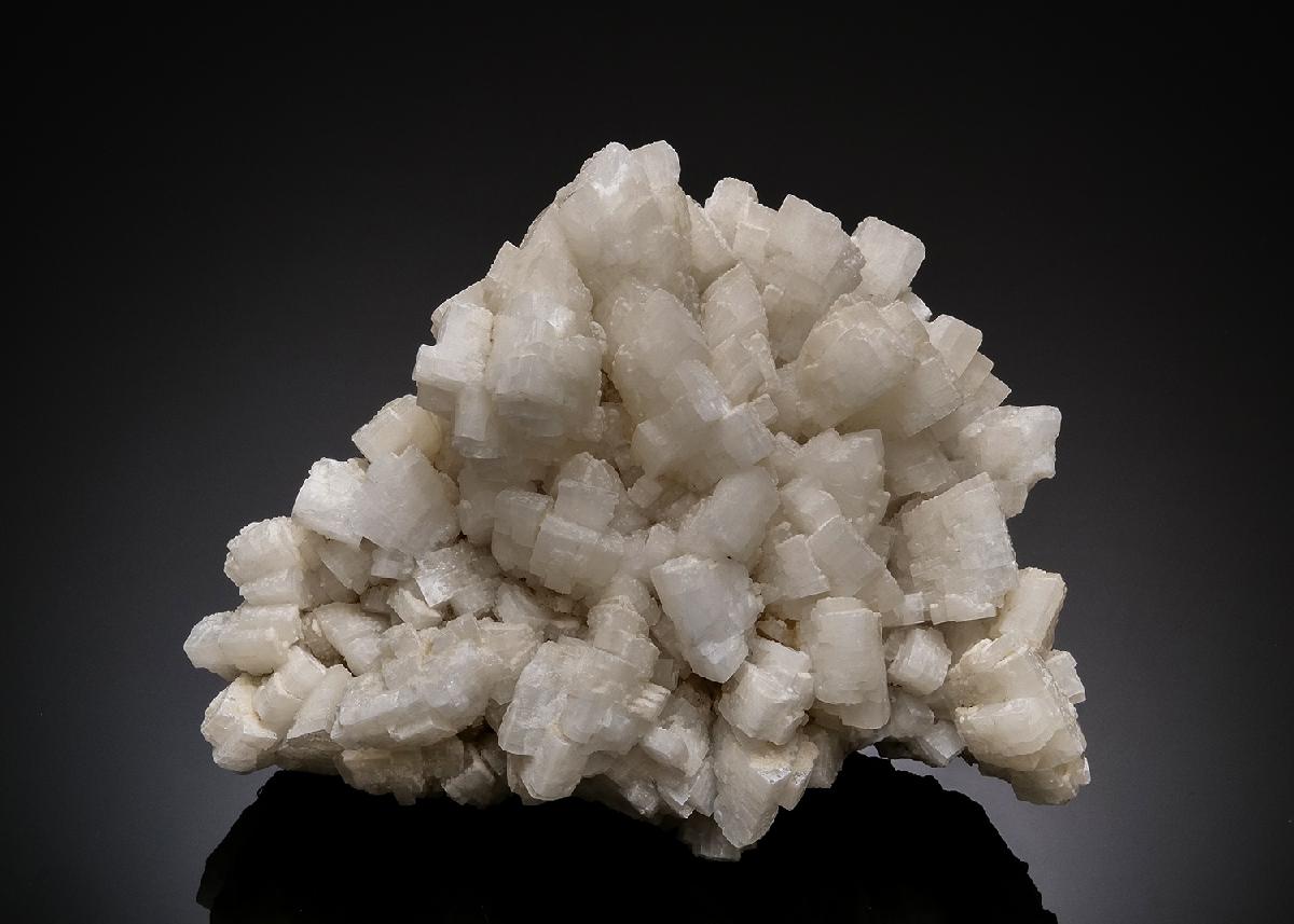 CC56158 specimen image