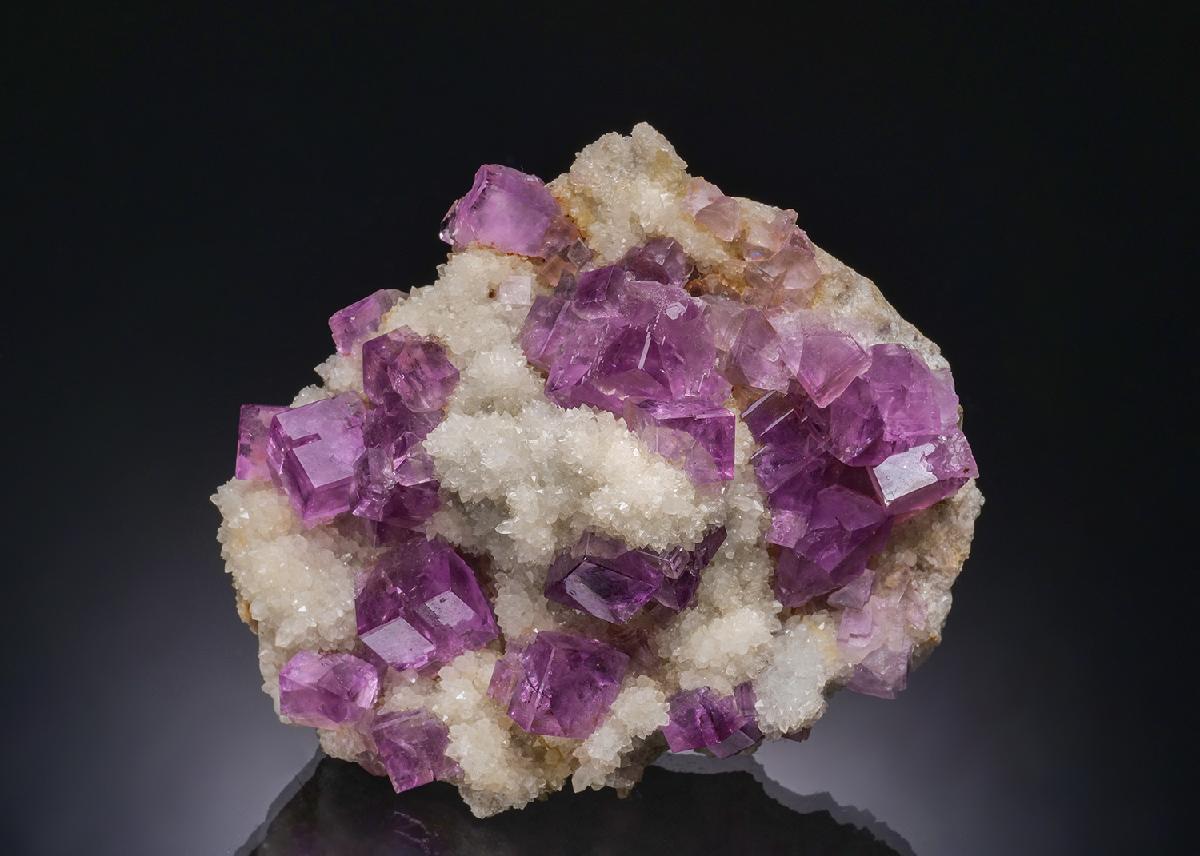 CC56182 specimen image