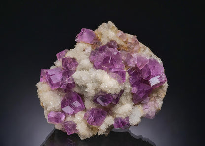 CC56182 specimen image