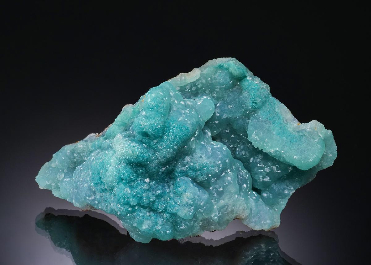 CC56186 specimen image