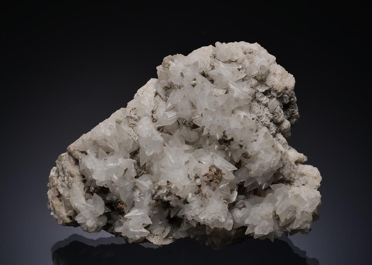 CC56196 specimen image