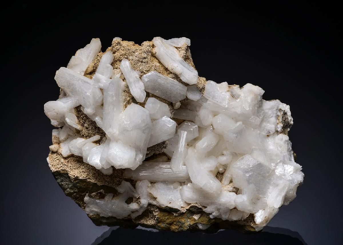CC56198 specimen image