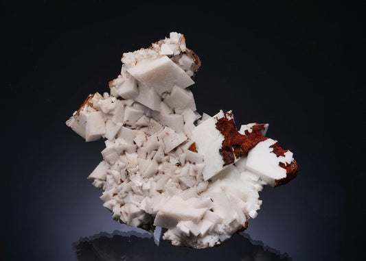 CC56204 specimen image