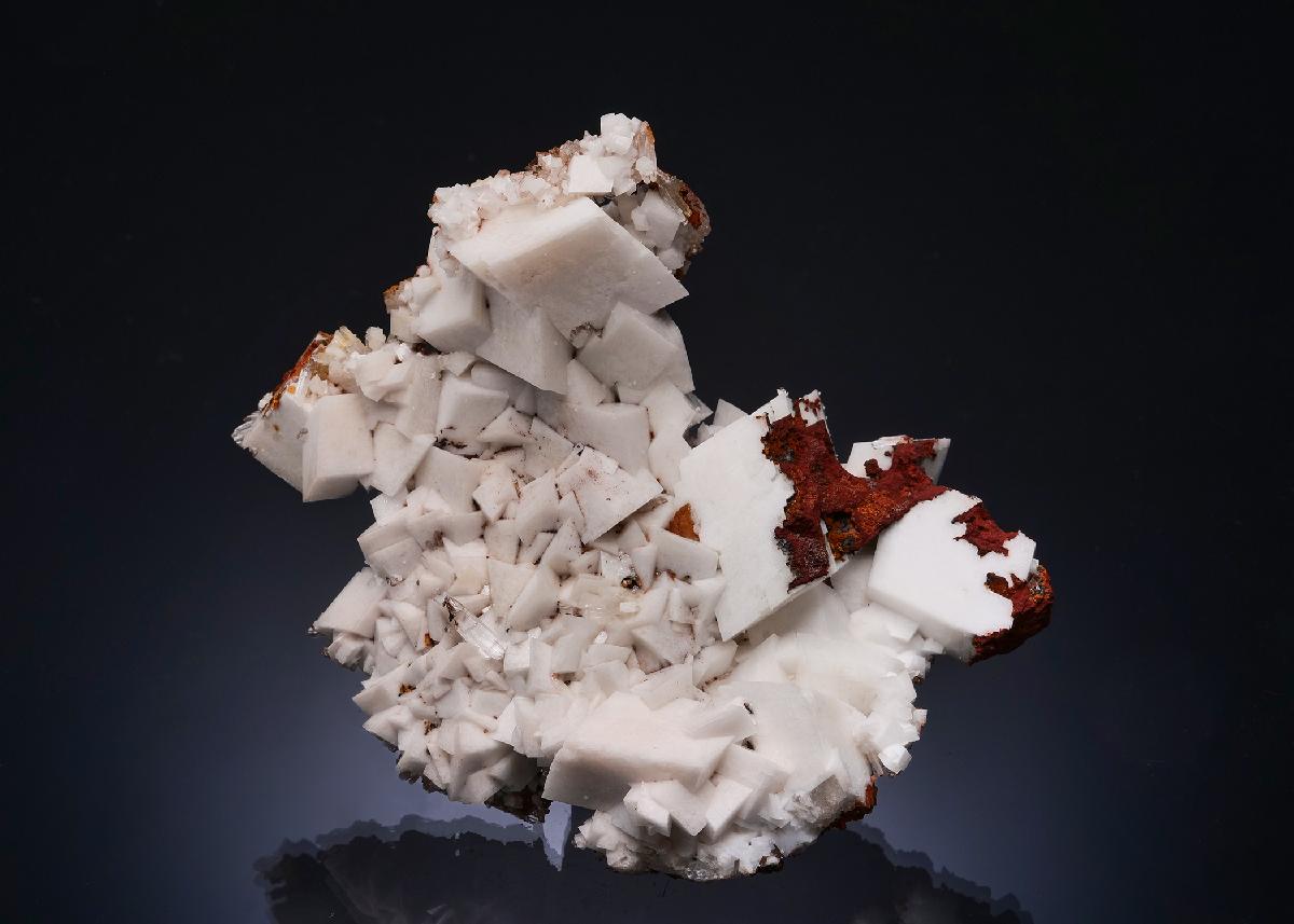CC56204 specimen image