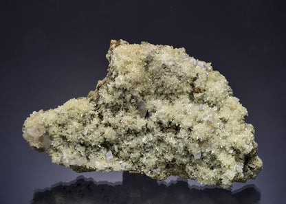 CC56206 specimen image