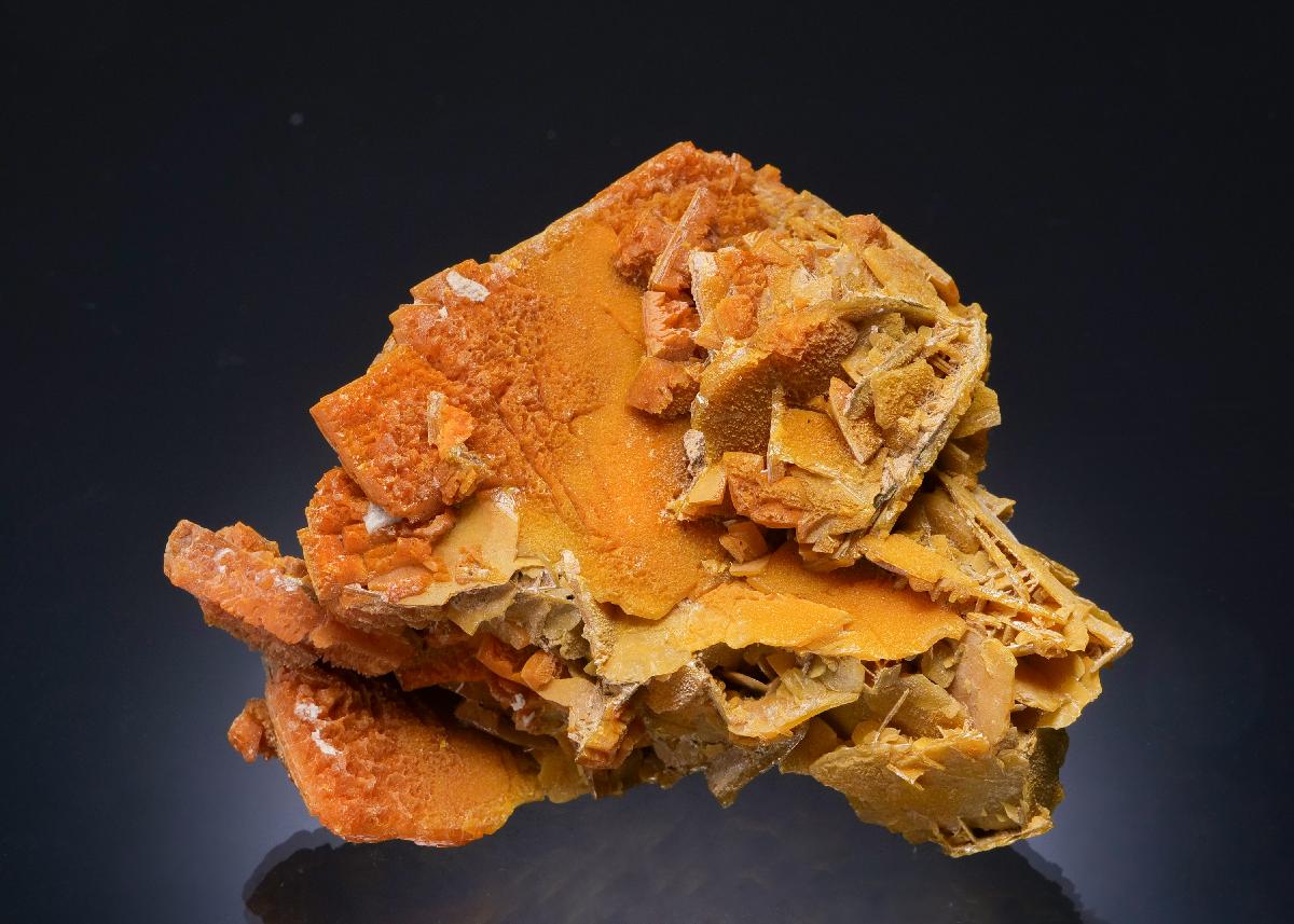 CC56210 specimen image