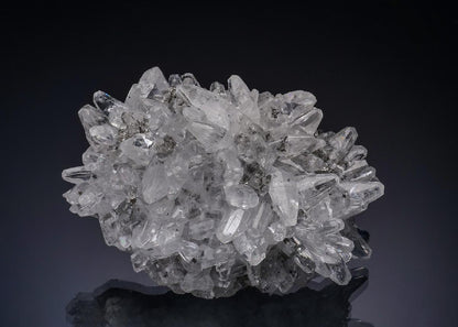 CC56220 specimen image